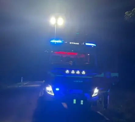Kolizja z łosiem na trasie Wydminy–Sucholaski. Interweniowały służby