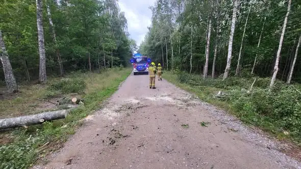 Powalone drzewo w Rydzewie — interwencja OSP Miłki