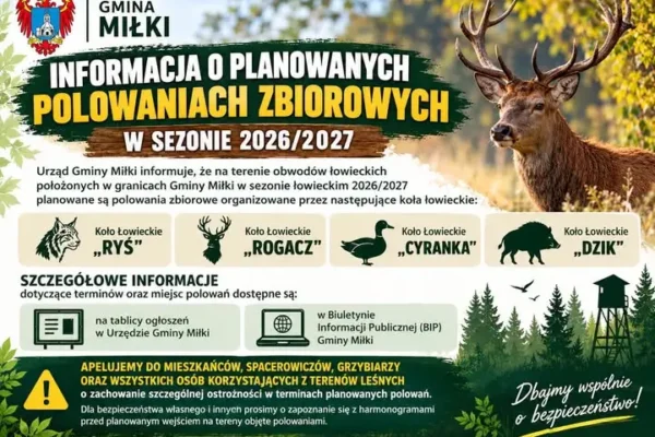Polowania zbiorowe w Gminie Miłki – sprawdź harmonogramy i zachowaj ostrożność