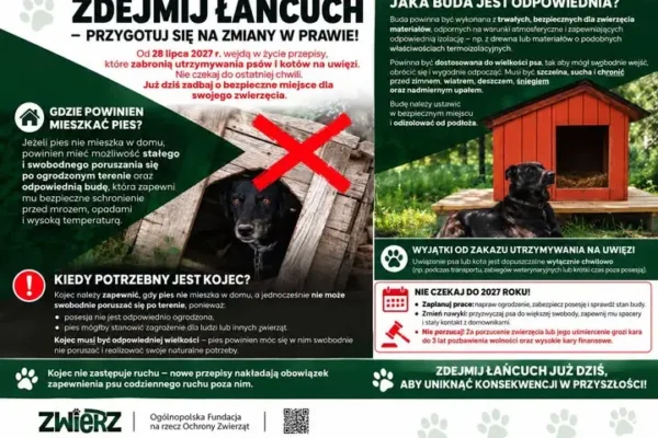Gmina Miłki ostrzega: od 2027 roku psy i koty nie będą mogły być trzymane na uwięzi
